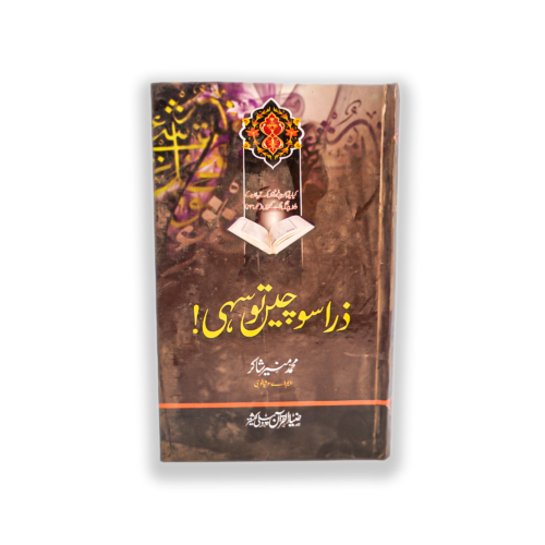 ZARA SOCHAIN TO SAHI